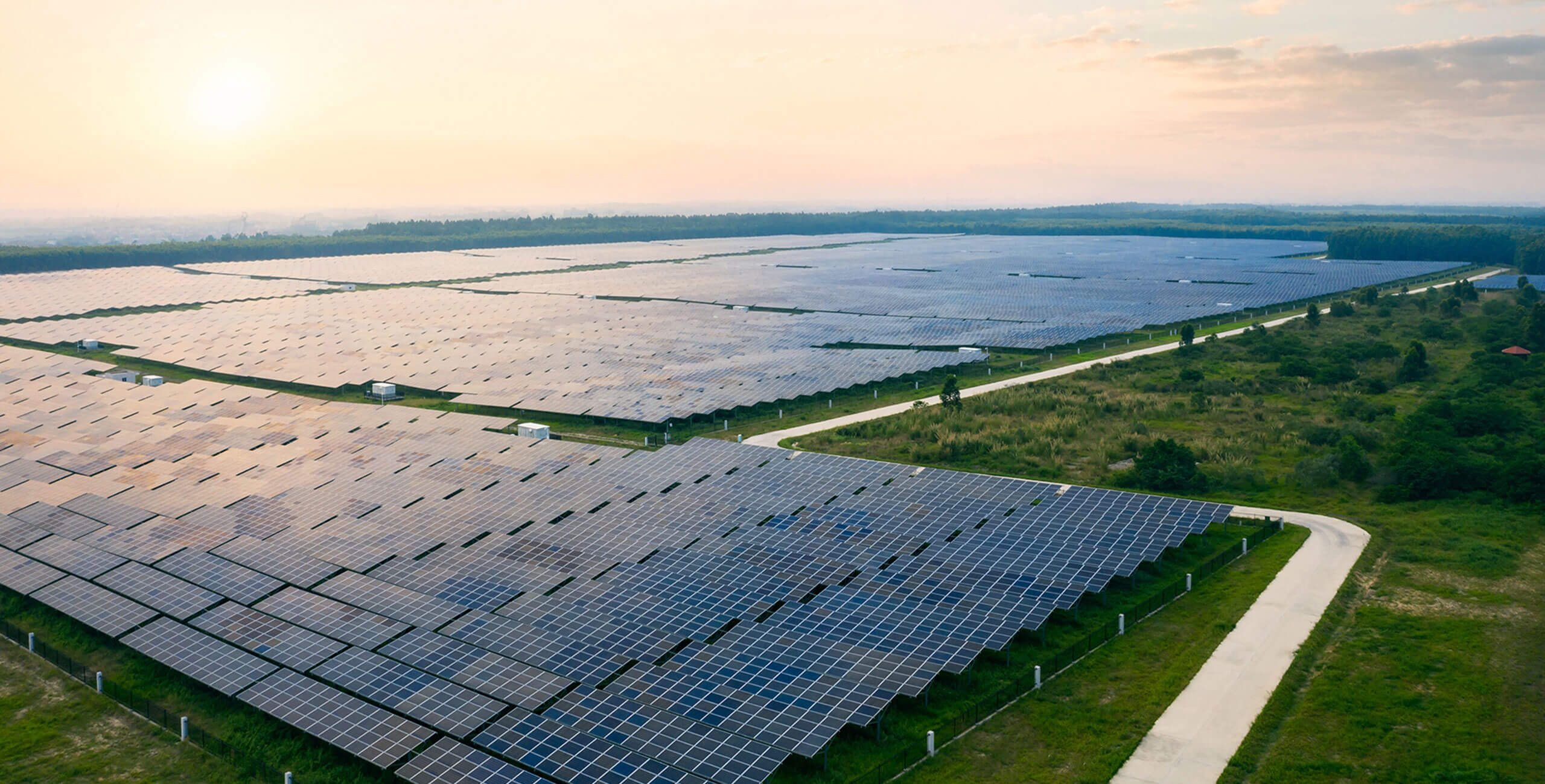 A solar farm on a sunny day